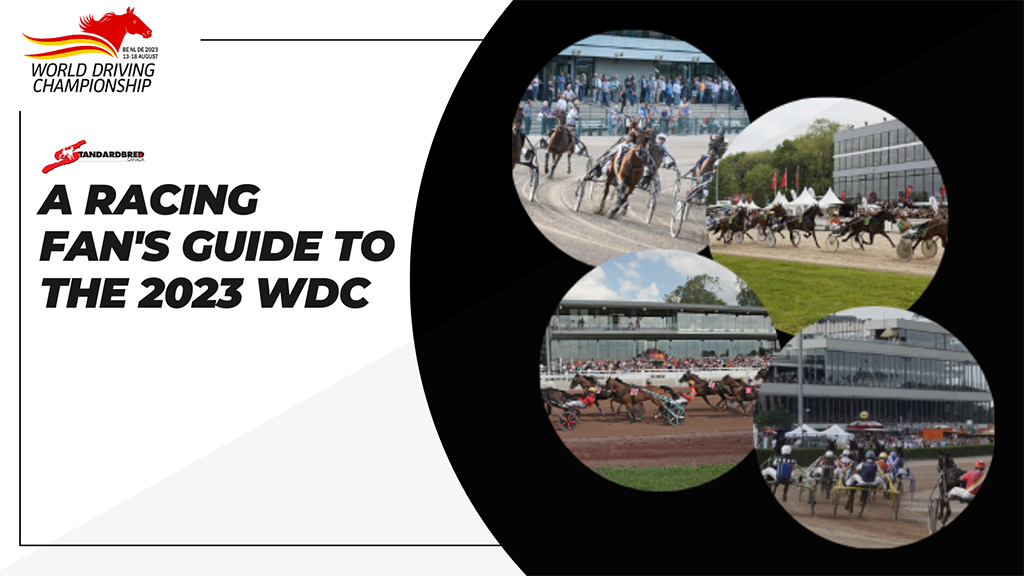 2023 World Driving Championship Race Fan Guide