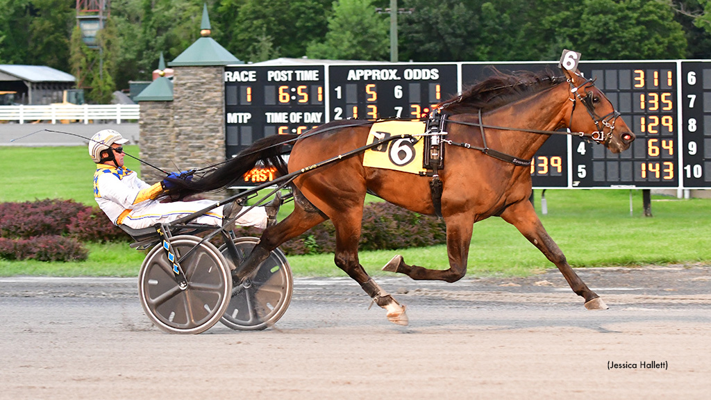 Sulky Harness Racing Horse - All Classic Ltd