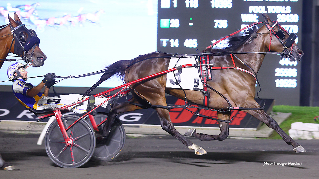 Dabarndawgswatchin winning at Woodbine Mohawk Park