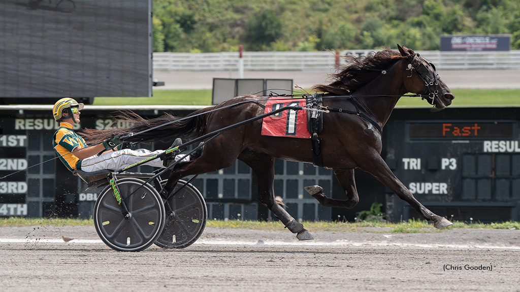 Joygo winning at The Meadows