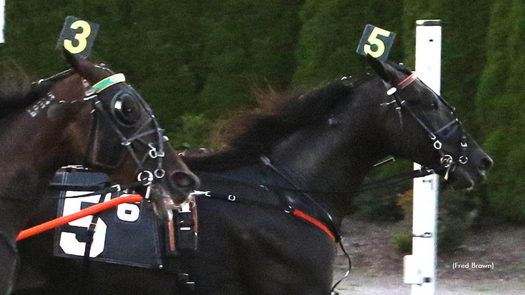 Knight Angel winning at Tioga Downs