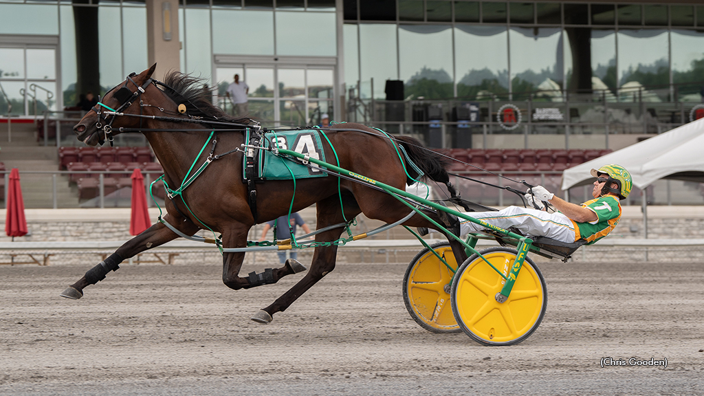 Lyons Legend winning at The Meadows