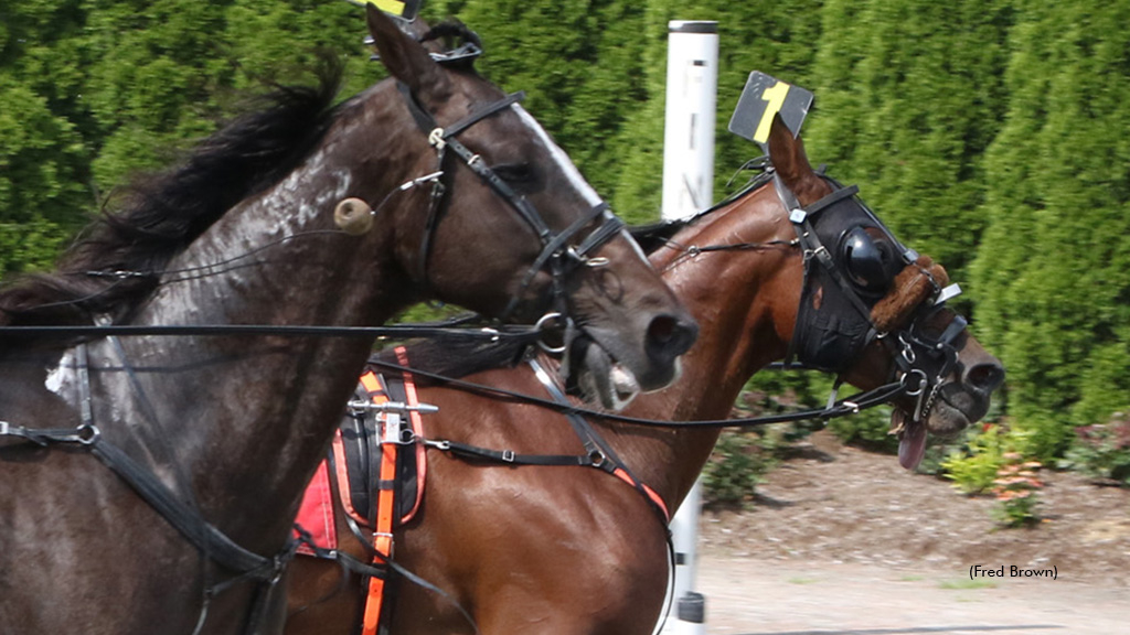 Rifleman winning at Tioga Downs