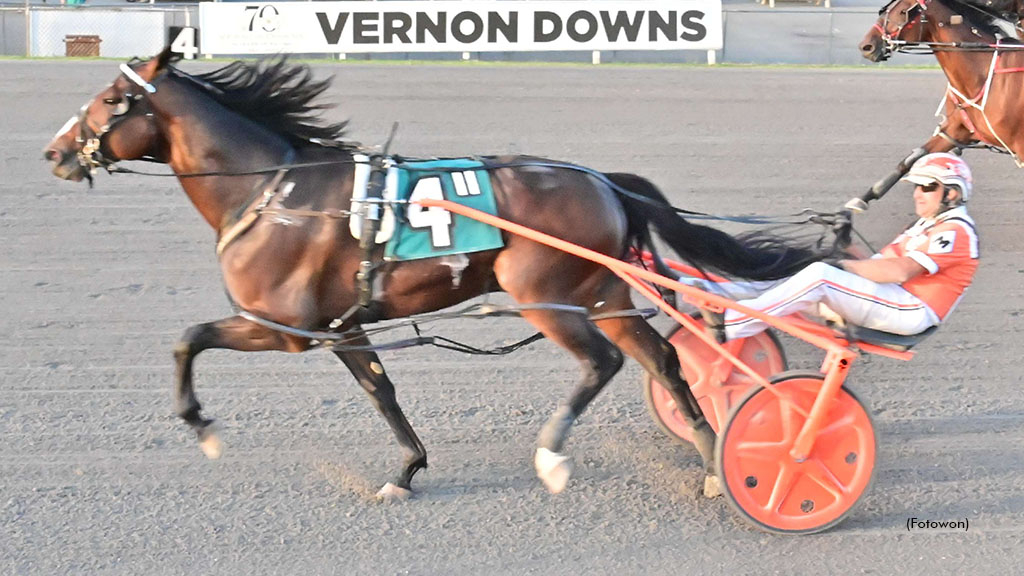 Another Six Pack For J-Mac At Vernon | Standardbred Canada