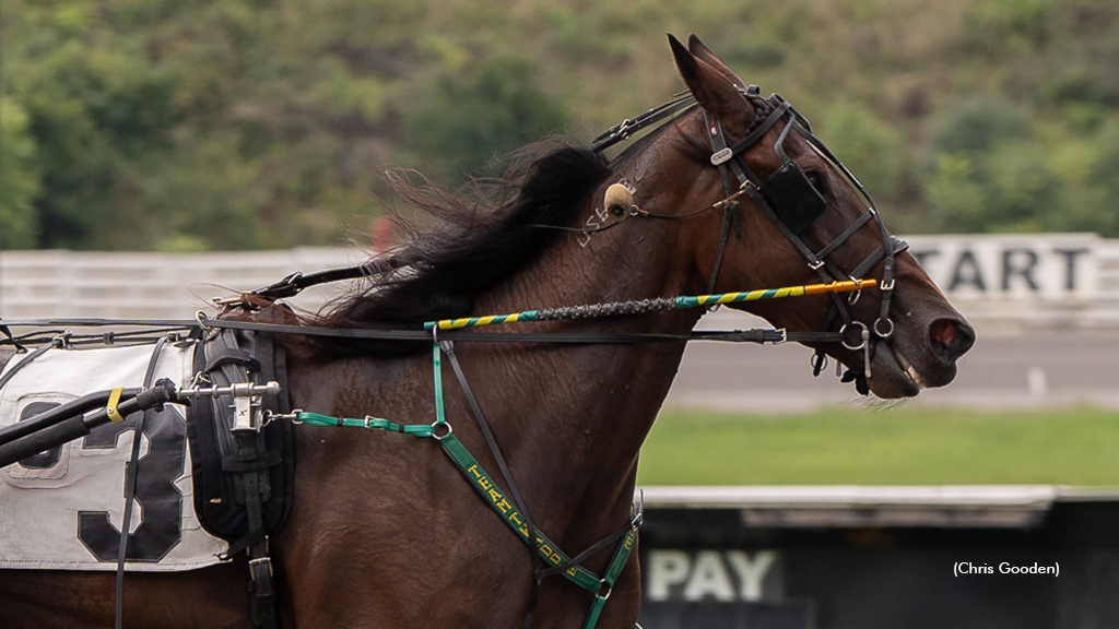 Think Of Galaxies winning at The Meadows