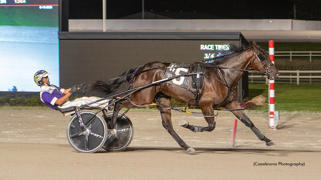 Well Thats Marky winning at Northfield Park