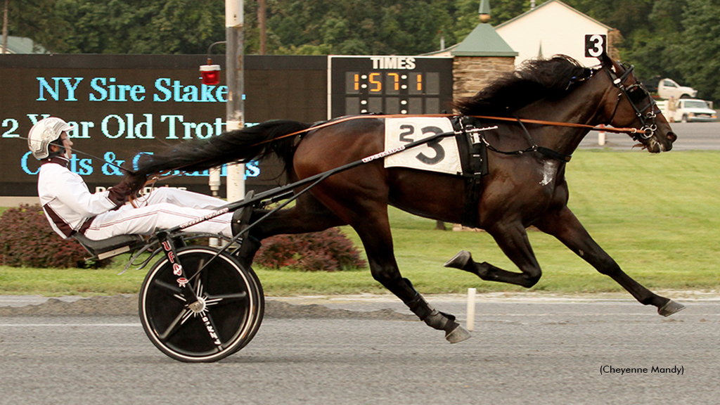 Wild Ticket winning at Saratoga Raceway