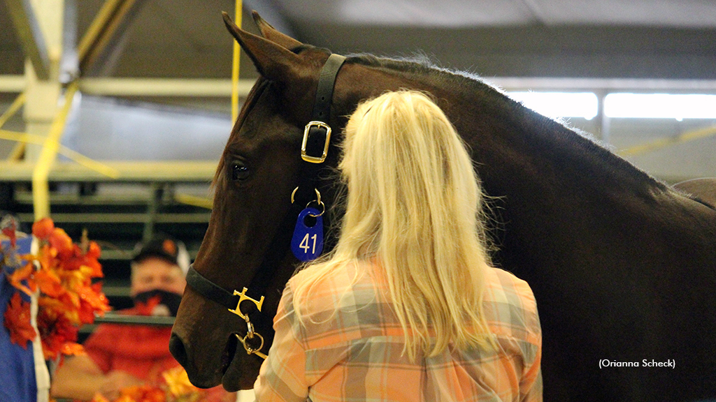 RecordBreaking ASHA Yearling Sale Shatters Expectations Standardbred