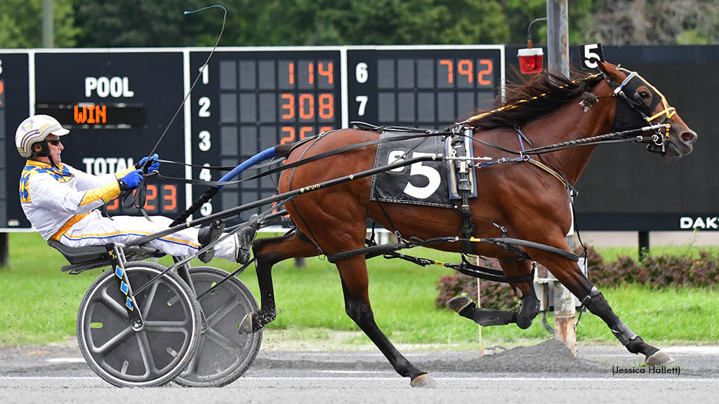 Alittlesidehustl N winning at Saratoga Raceway