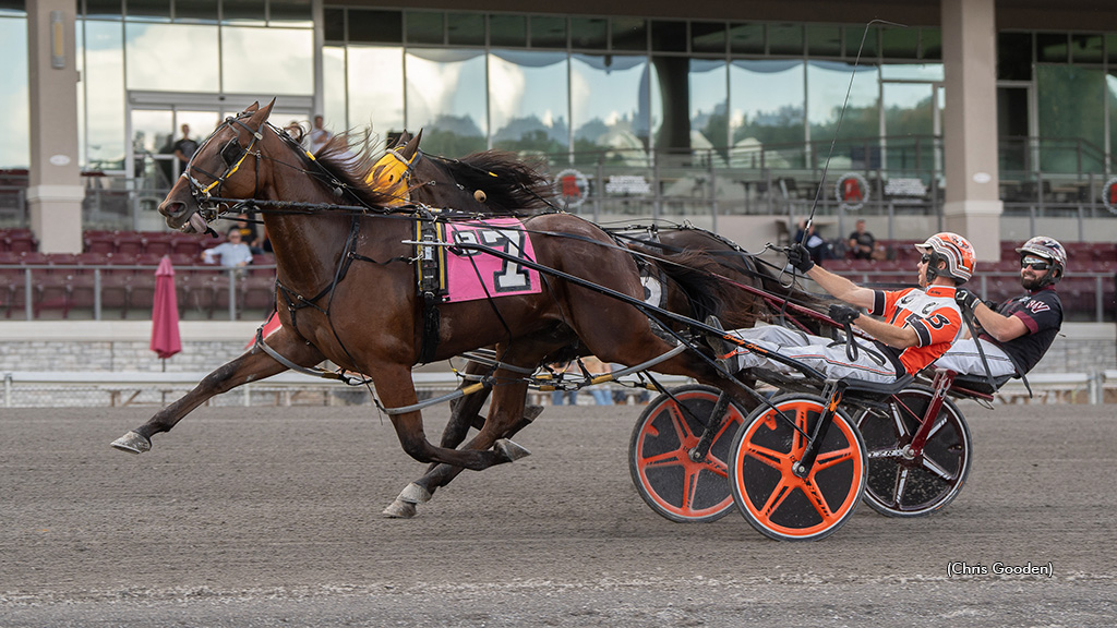 Brue Hanover winning at The Meadows