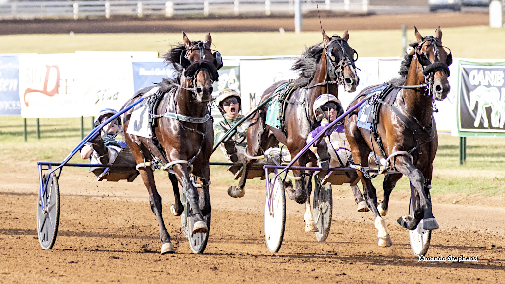 Captain Albano, winning at The Red Mile