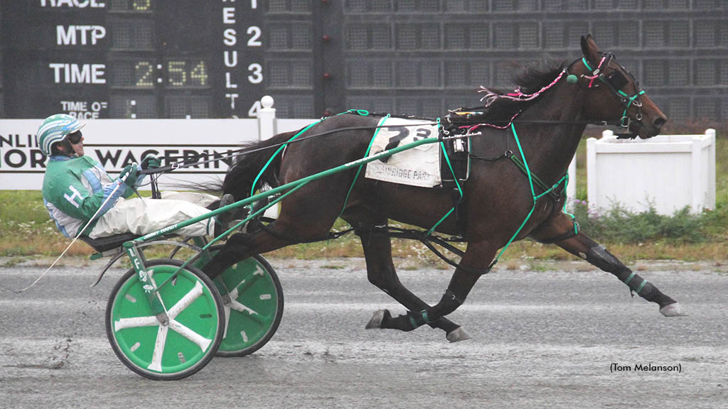 Dame winning at Plainridge Park