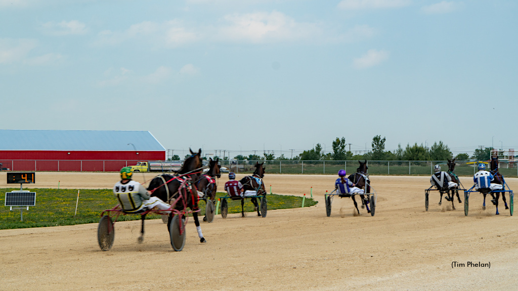 Harness racing at The Loop