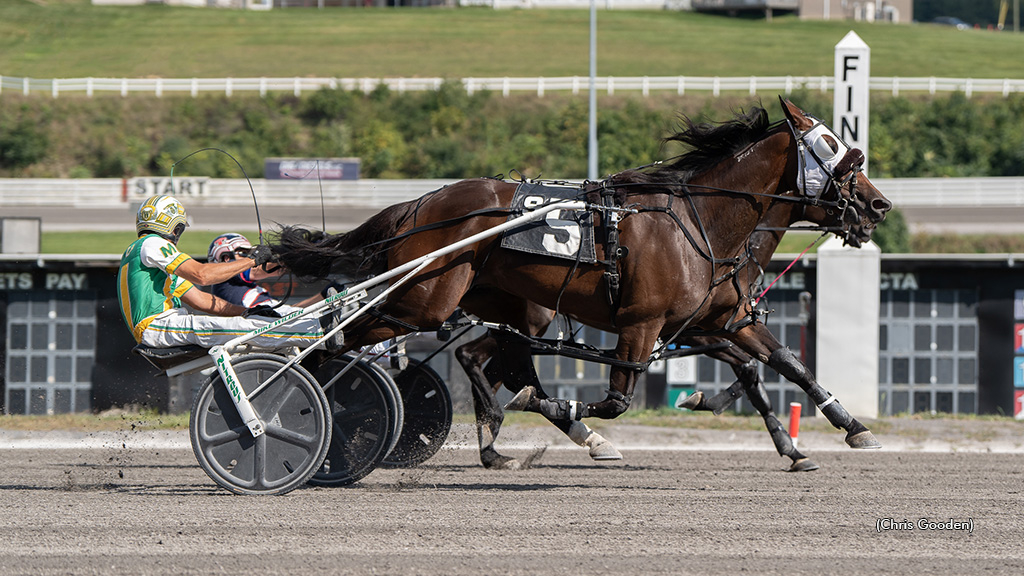 Premier Delainey winning at The Meadows