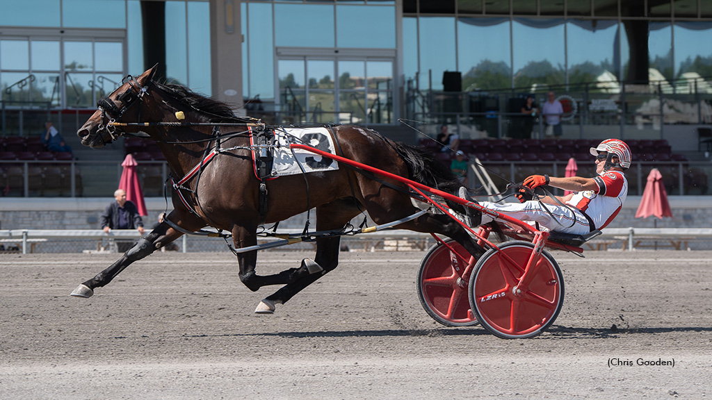 Pressure Cooker winning at The Meadows