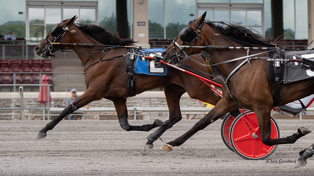 Sambuca Hanover winning at The Meadows