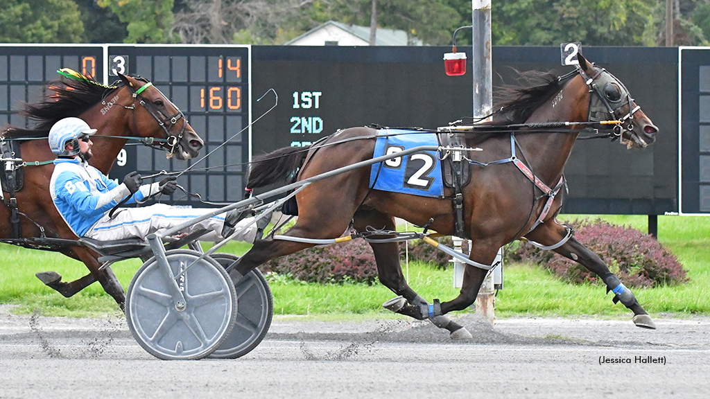 Shallow winning at Saratoga Raceway