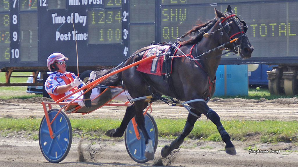 South St Dottie winning at Windsor Fair