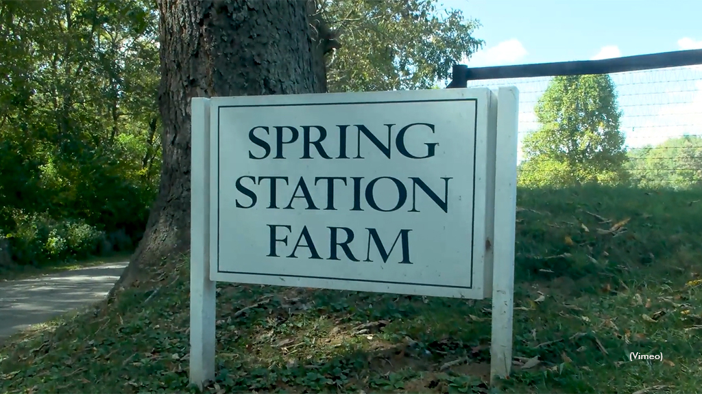 Spring Station Farm signage