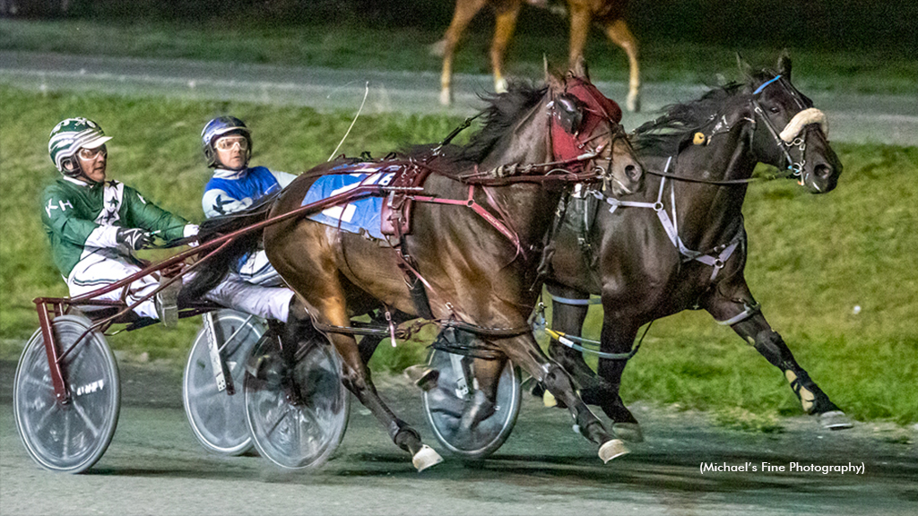 Sunshine Boy winning at Fraser Downs