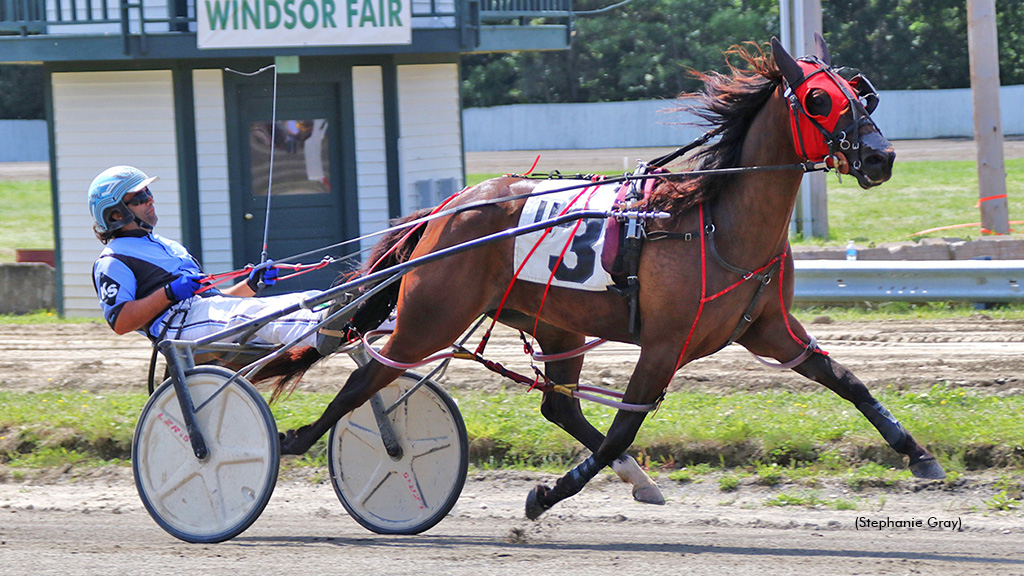 Two Fold Cold winning at Windsor Fair