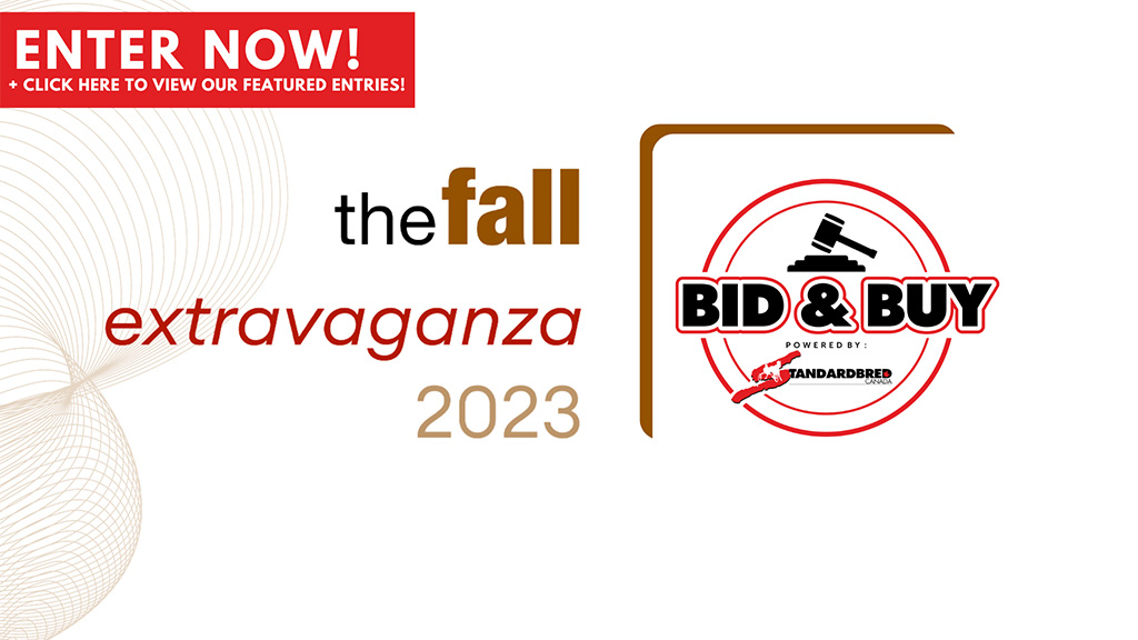 2023 Fall Extravaganza Sale Featured Entries