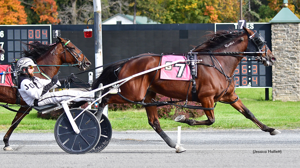 Always Watching winning at Saratoga Raceway