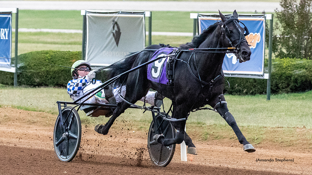 Confederate Remains Unanimous Top Choice In Poll Standardbred Canada