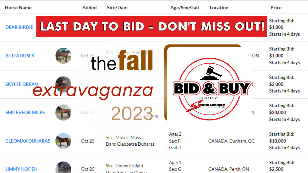 Last Day To Bid on the Fall Extravaganza