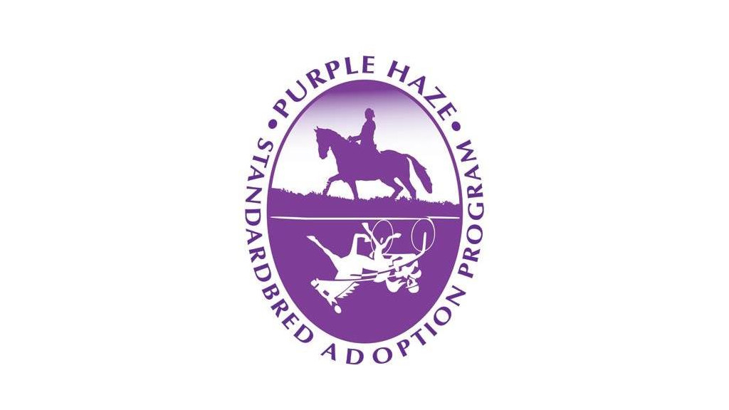 Purple Haze Standardbred Adoption Program