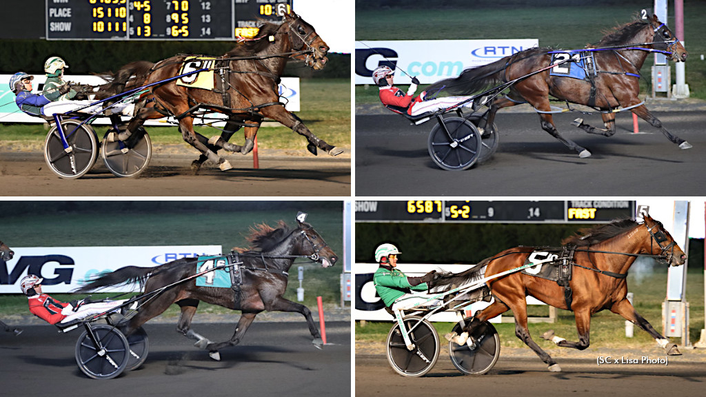 Allywag Hanover, Twin B Joe Fresh, Southwind Tyrion and Jiggy Jog S