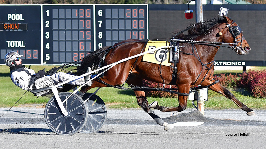 Always Watching winning at Saratoga Raceway