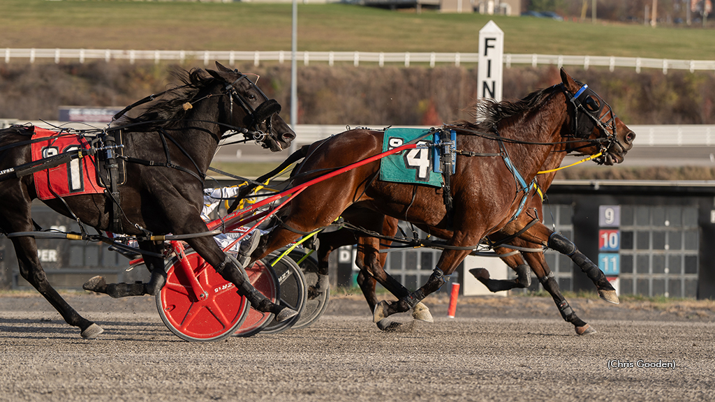 Marloe Hanover winning at The Meadows