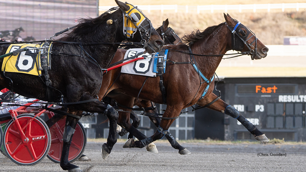 Marloe Hanover winning at The Meadows