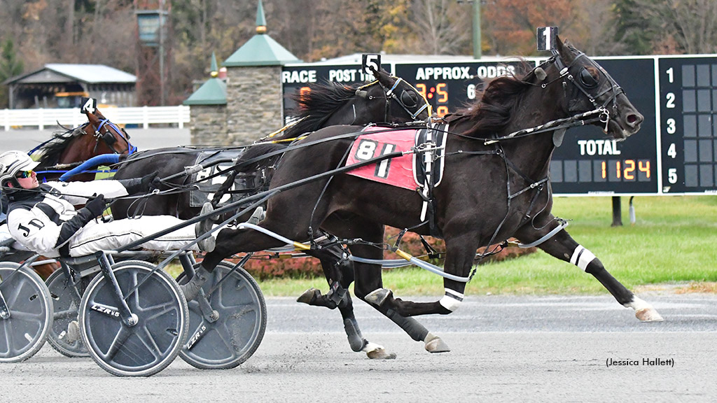 Mixed Emotion winning Saratoga Raceway