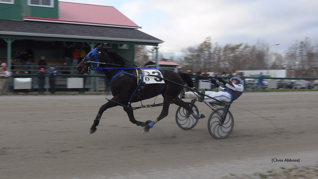 Revenant winning at Northside Downs