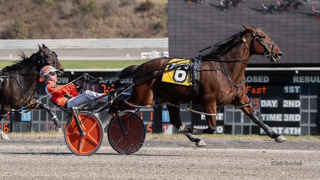 Sandbetweenmytoes winning at The Meadows