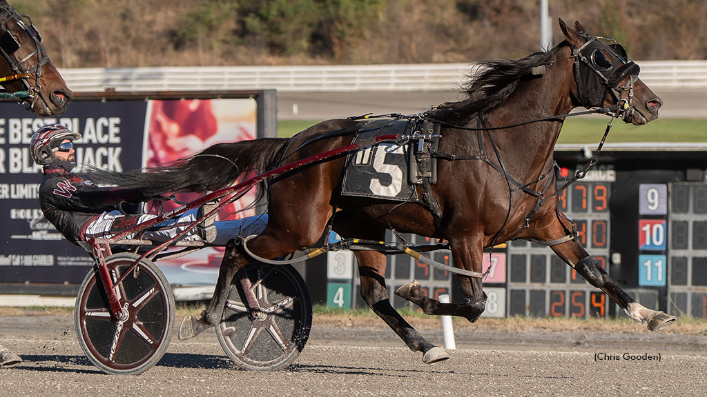 Sweet And Feisty winning at The Meadows