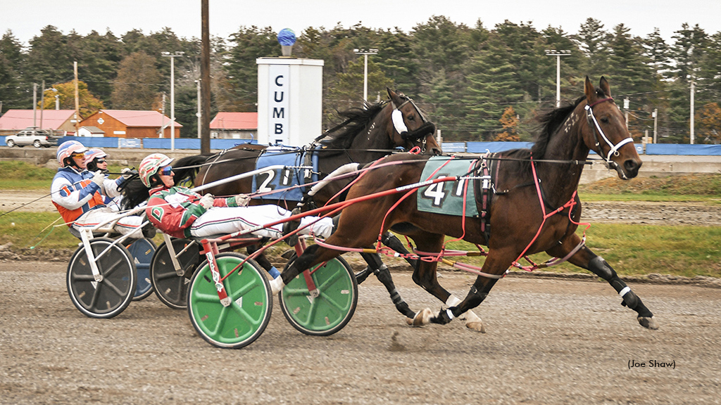 The Bird Dance N winning at First Tracks Cumberland