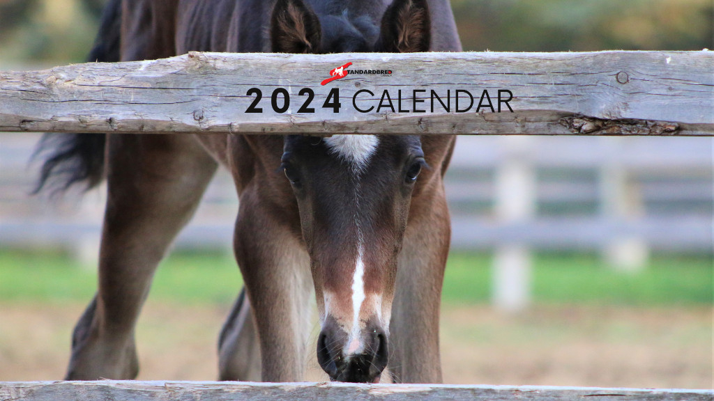 SC's 2024 Calendar Headed Your Way! Standardbred Canada