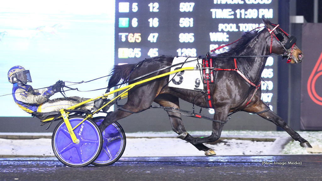 Dabarndawgswatchin winning at Woodbine Mohawk Park