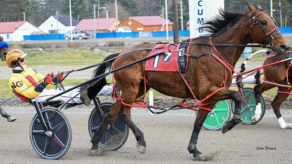 Lexus Witha View A winning at First Tracks Cumberland