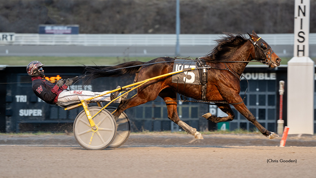 The Hazelton winning at The Meadows