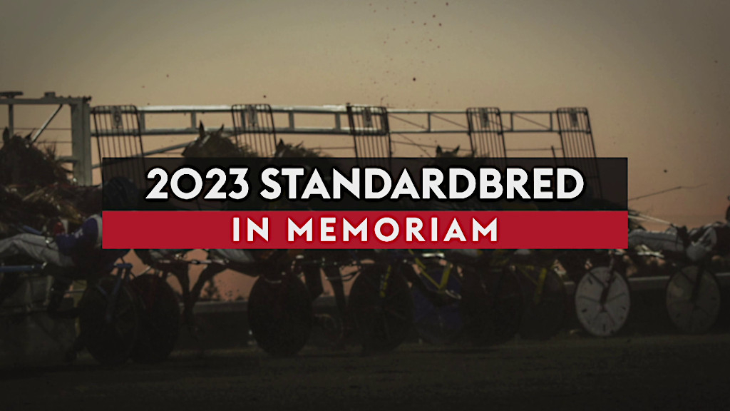 2023 Standardbred In Memoriam