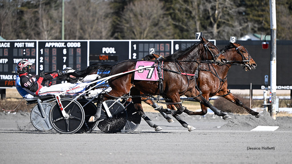 Always Watching winning at Saratoga Raceway