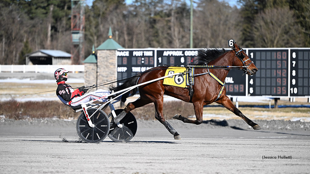 Bustin With Pride winning at Saratoga Raceway