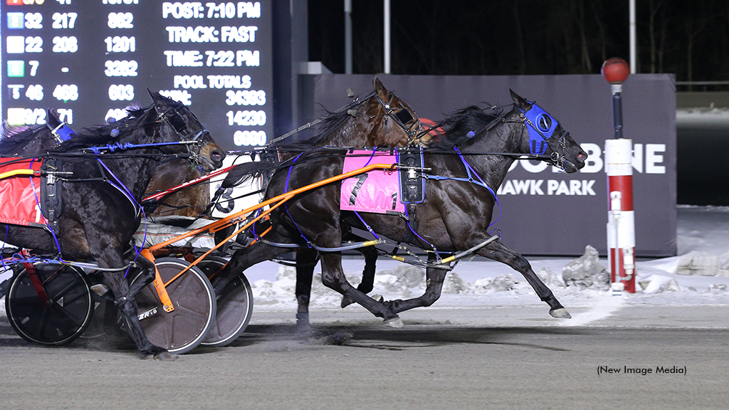 Cozey Up winning at Woodbine Mohawk Park