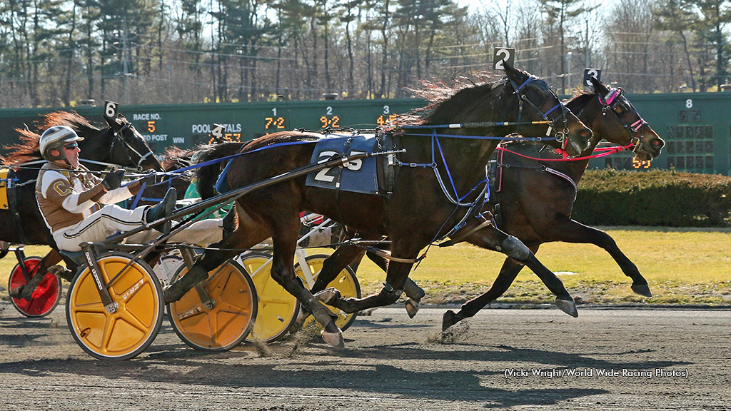 Lucky Matter winning at Freehold Raceway