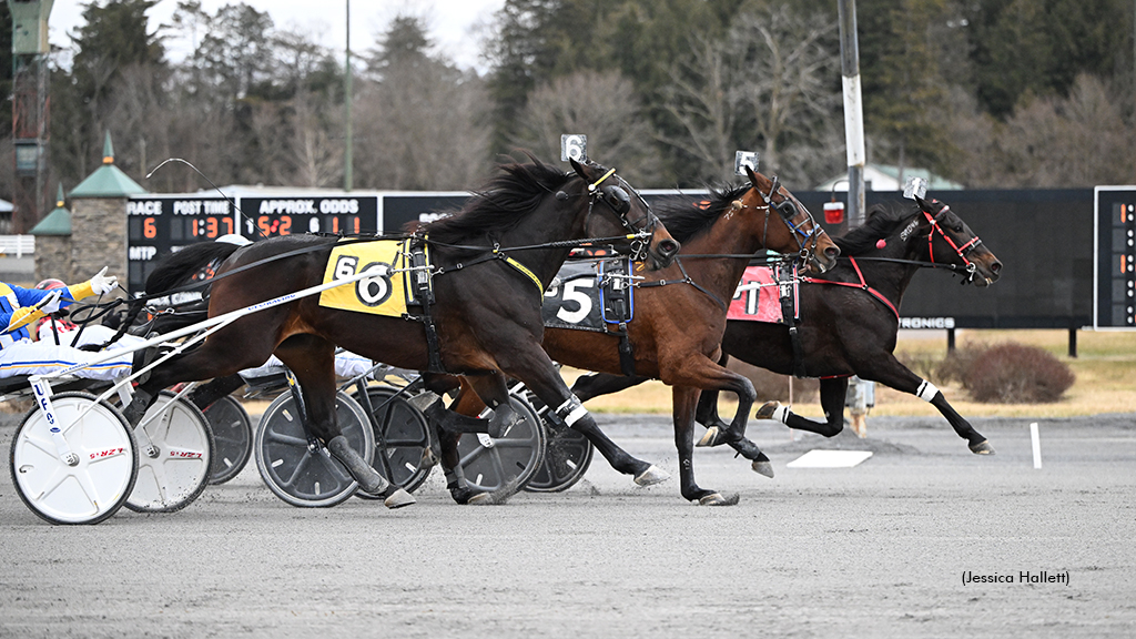 Manofmanymuscles winning at Saratoga Raceway