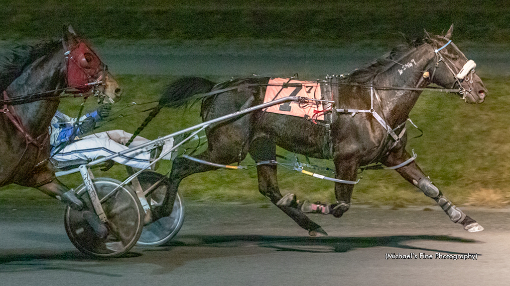 Sunshine Boy winning at Fraser Downs